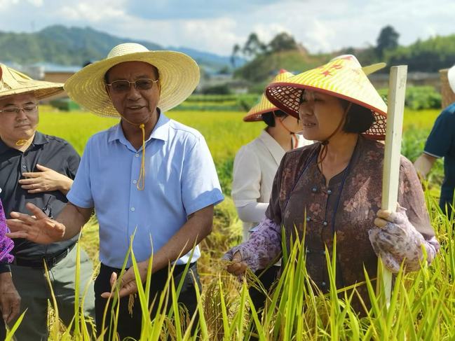 謝華安：稻田里的“追夢(mèng)者”